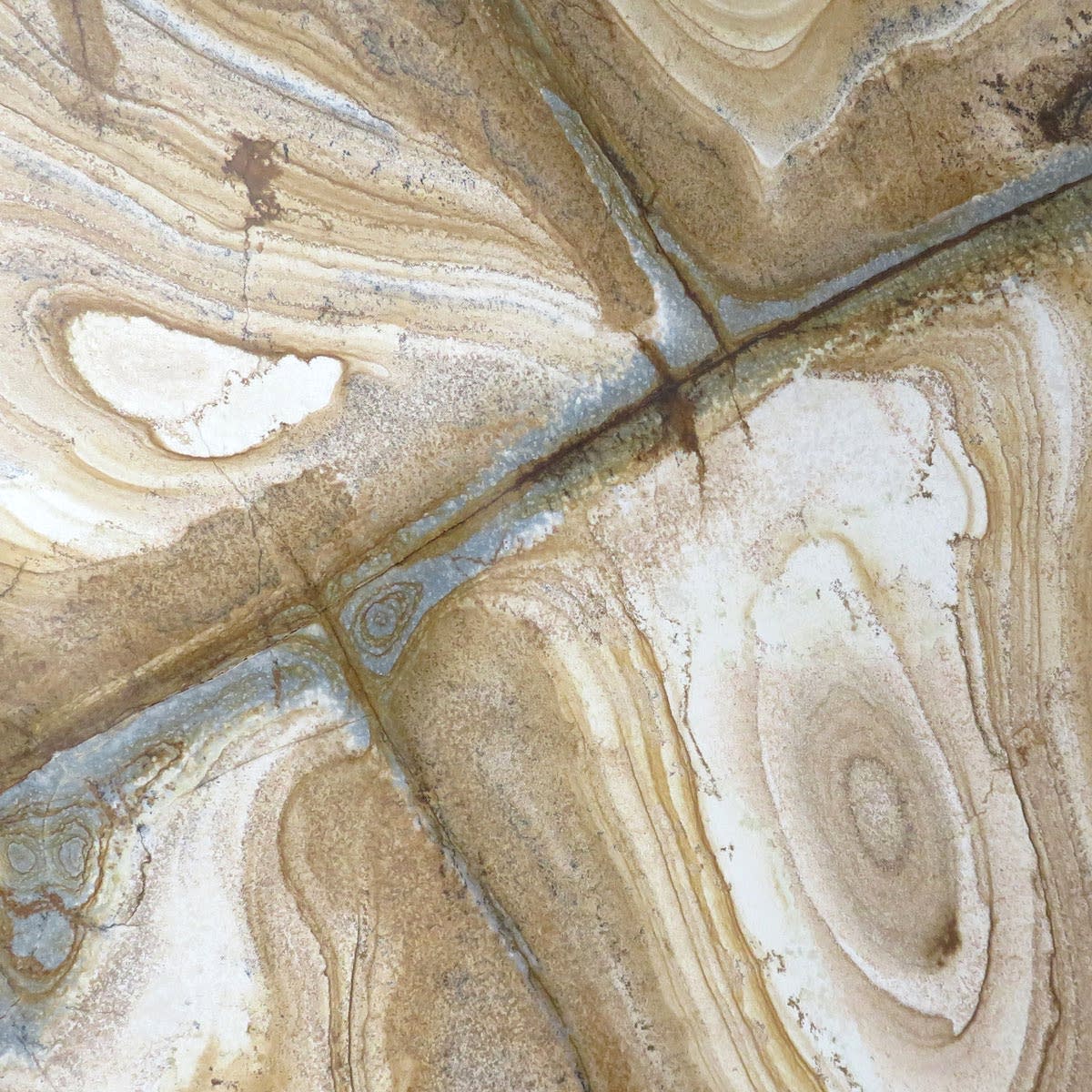 Stone Wood