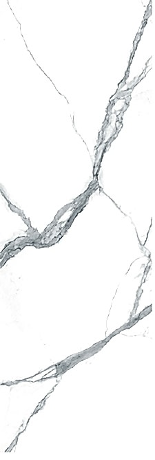ALTM ALTS (ALTISSIMO)