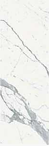 BSV (B.S. VENATO)