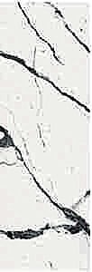BSV (B.S. VENATO)