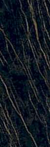 NDSM / NDSS (NOIR DESIR)