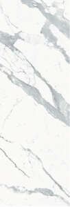 BSV (B.S. VENATO)