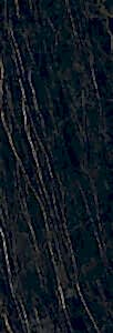 NDSM / NDSS (NOIR DESIR)