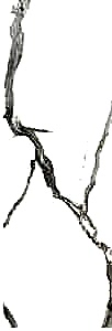 CAL (MICHELANGELO)