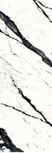 BSV (B.S. VENATO)
